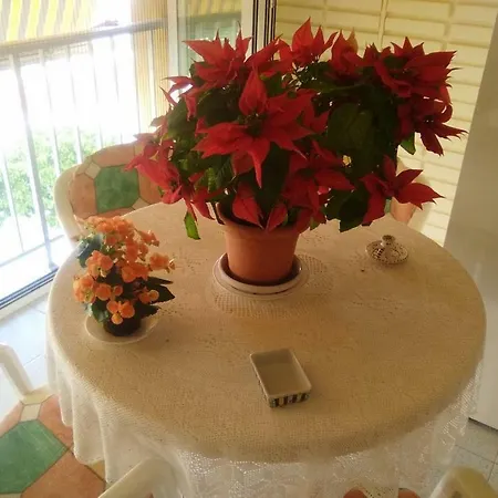 Edificio Langay Apartament *